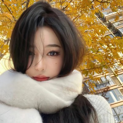 金刚斗恐龙